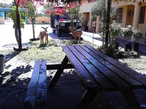 thumbnail: BBQ/picnic area