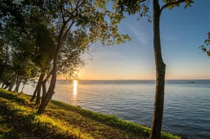 thumbnail: View from property