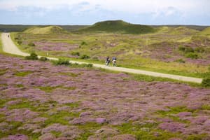 thumbnail: Bicycling