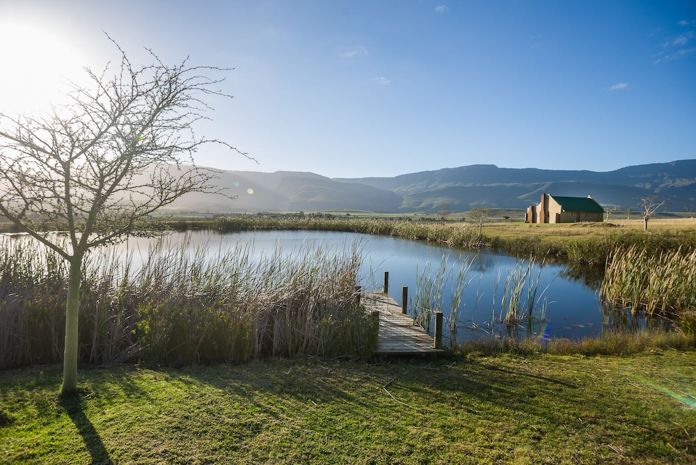 Lake view