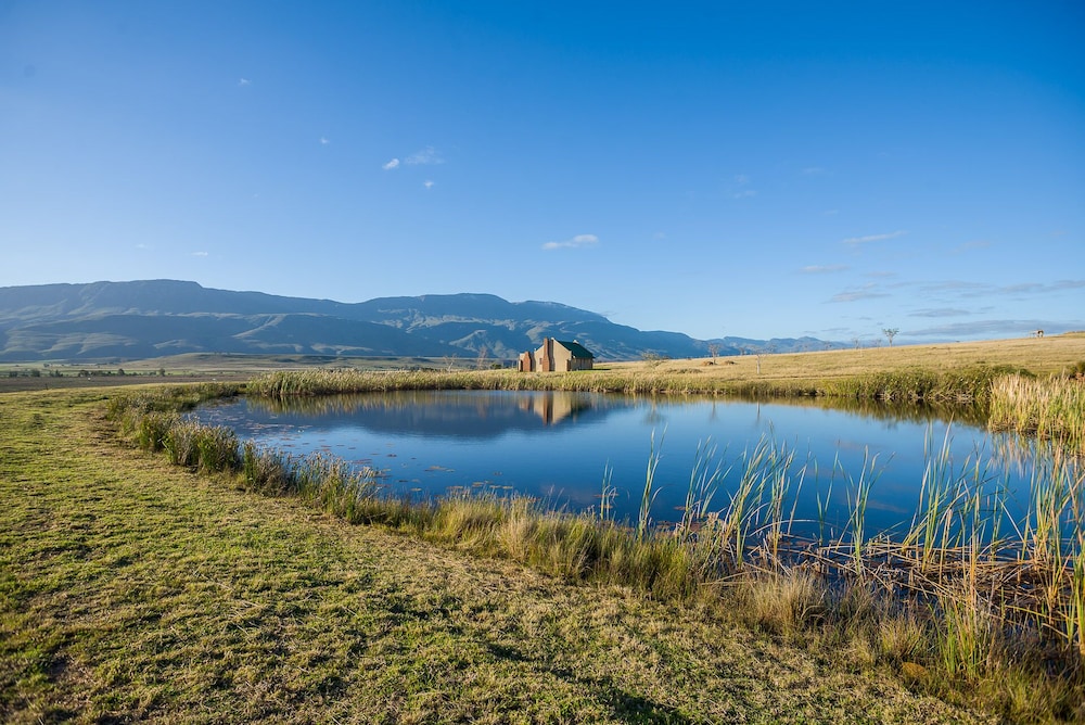 Lake view