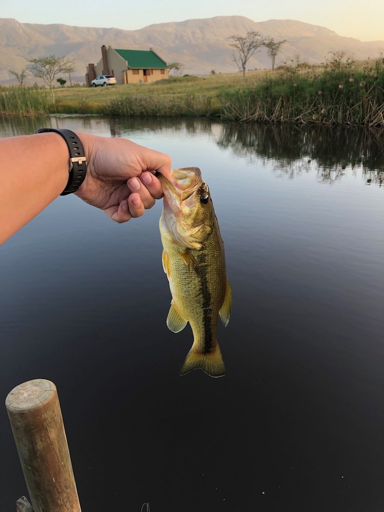 Fishing