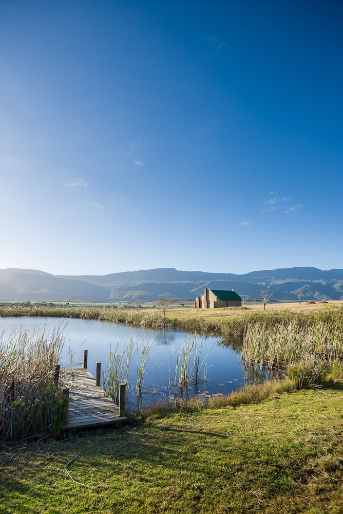 Lake view