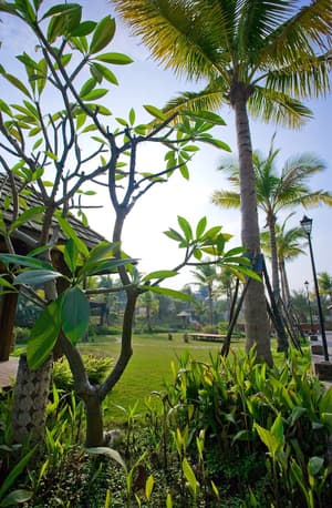 thumbnail: Property grounds