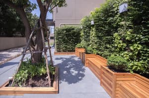 thumbnail: Garden