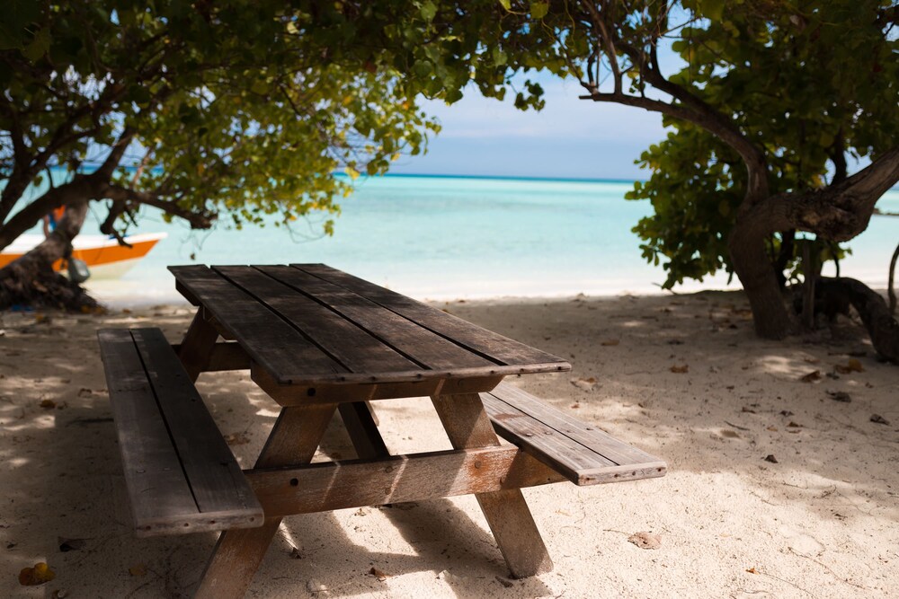 BBQ/picnic area
