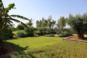 thumbnail: Garden