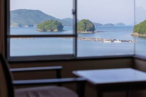thumbnail: View from room