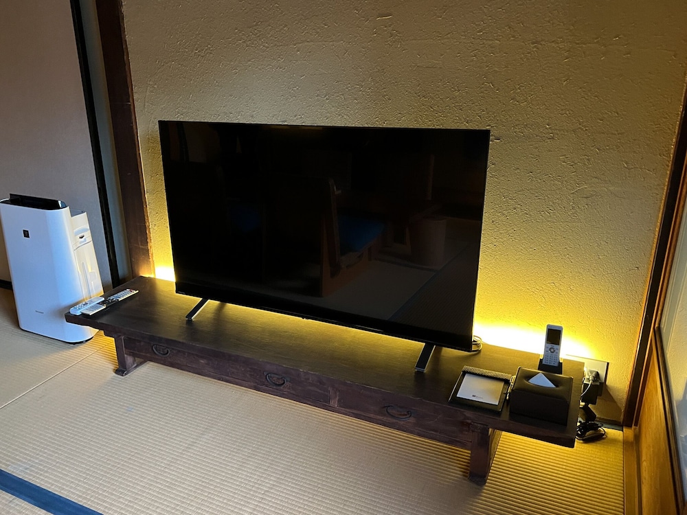 Television