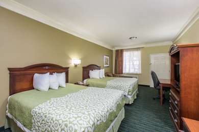 Guest Room,Suite,On-Site