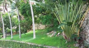 thumbnail: Property grounds