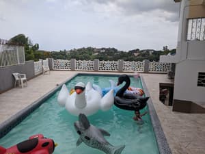 thumbnail: Outdoor pool