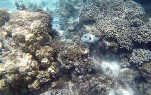 thumbnail: Point of interest