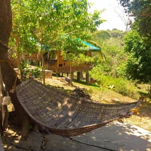 thumbnail: Terrace/patio