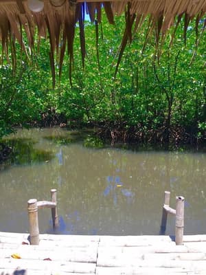 thumbnail: Lake