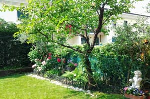 thumbnail: General view