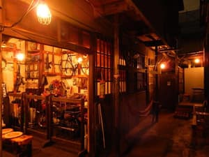 thumbnail: General view