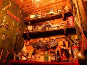thumbnail: General view