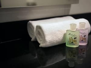 thumbnail: Bathroom amenities
