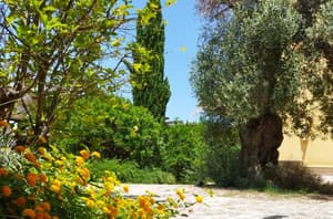 thumbnail: Garden