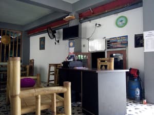 thumbnail: Reception