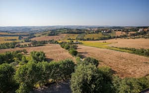thumbnail: Aerial view