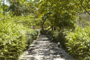 thumbnail: Garden view