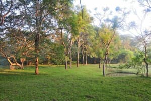 thumbnail: Garden