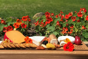 thumbnail: Garden