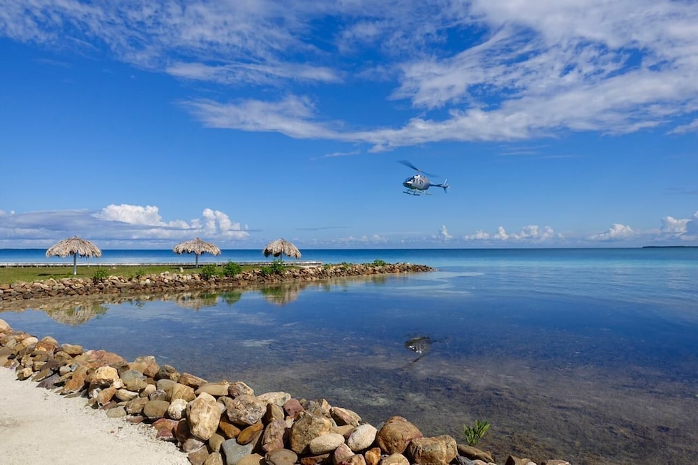 Helicopter/plane tours