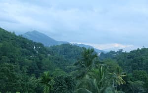 thumbnail: Aerial view