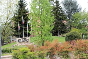 thumbnail: General view