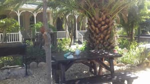 thumbnail: Property grounds