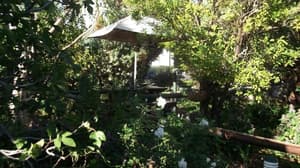 thumbnail: Property grounds