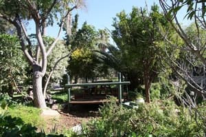 thumbnail: Garden