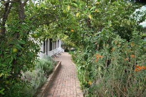 thumbnail: Garden