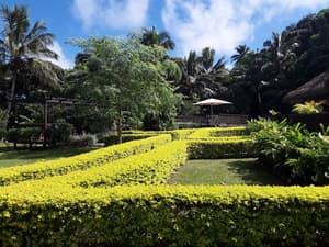 thumbnail: Garden view