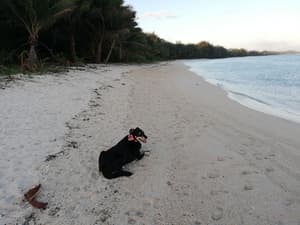 thumbnail: Beach