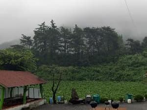 thumbnail: c03c213ab2fd57e564a793e2eda294eb.jpg