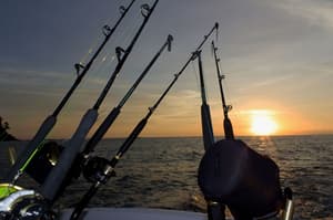 thumbnail: Fishing
