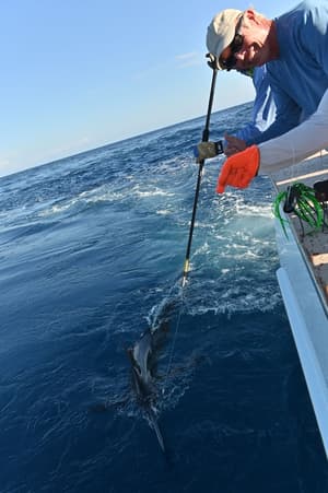 thumbnail: Fishing