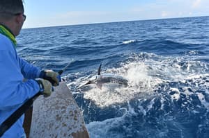 thumbnail: Fishing