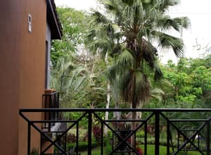 thumbnail: View from room