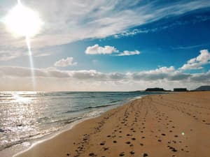 thumbnail: Beach