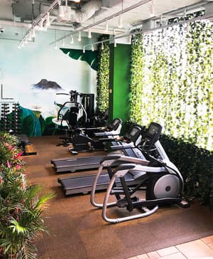 thumbnail: Fitness facility