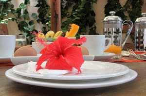 thumbnail: Food and drink