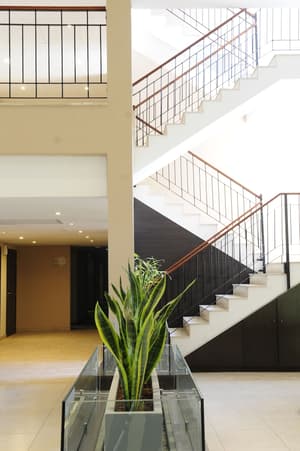 thumbnail: Reception