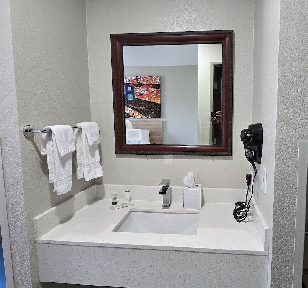 Bathroom sink