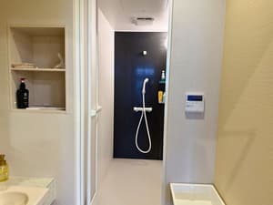 thumbnail: Bathroom shower