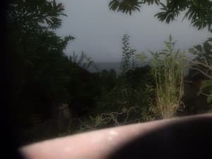 thumbnail: Sports facility